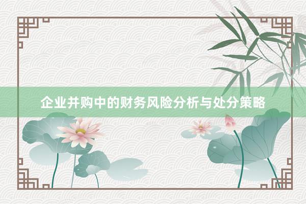 企业并购中的财务风险分析与处分策略