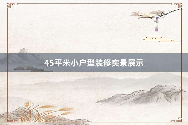 45平米小户型装修实景展示