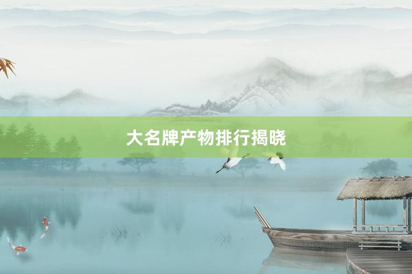 大名牌产物排行揭晓